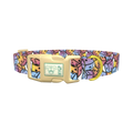 Colorful Dice Pattern Dog Collar - plastic gold