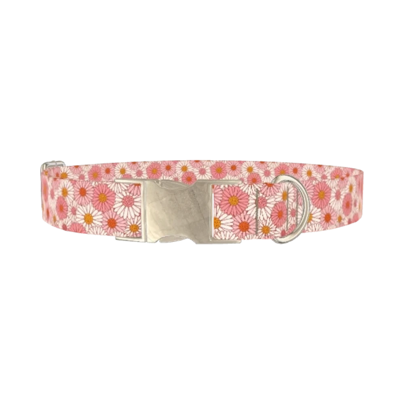 Chamomile Floral Dog Collar - metal silver