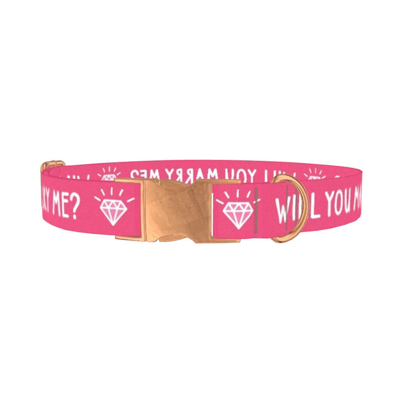 Will You Marry Me Diamond Dog Collar - metal rose gold