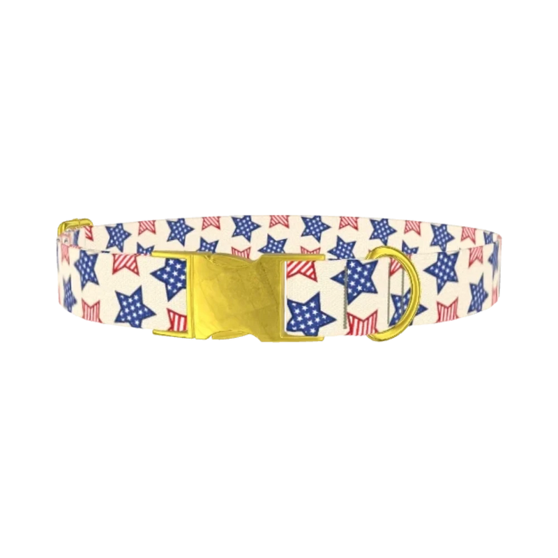 Striped Stars Dog Collar - metal gold