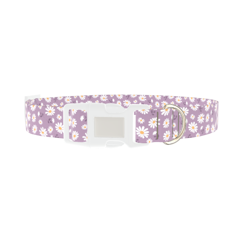 Lavender Daisy Pattern Dog Collar - plastic silver