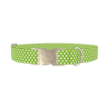 Lime Green Polka Dot Dog Collar - metal silver