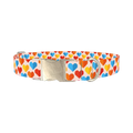 Colorful Geometric Heart Dog Collar - metal silver