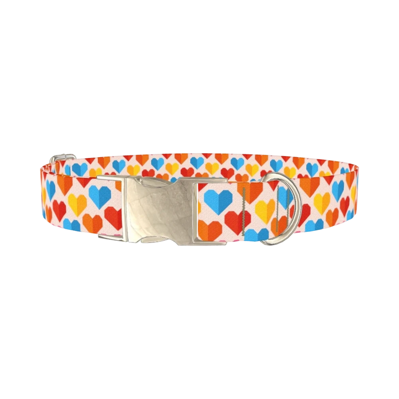 Colorful Geometric Heart Dog Collar - metal silver