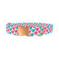 Geometric Colorful Heart Dog Collar - metal rose gold