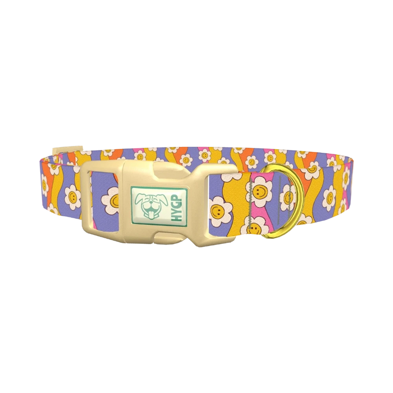 Groovy Smile Flower Dog Collar - plastic gold