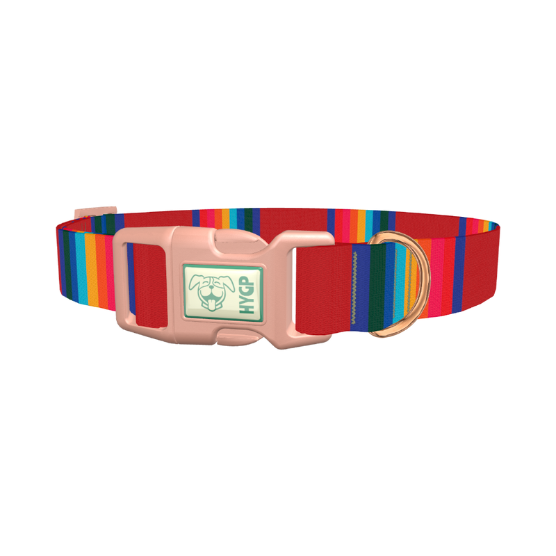 Striped Rainbow Dog Collar - plastic rose gold
