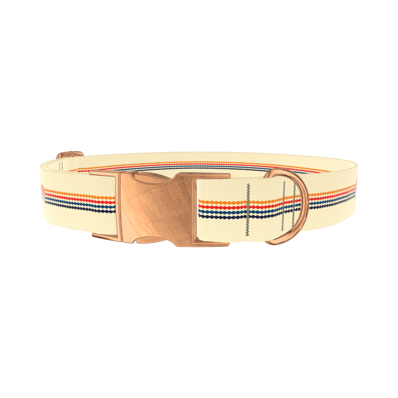 Colorful Hexagon Dog Collar - metal silver