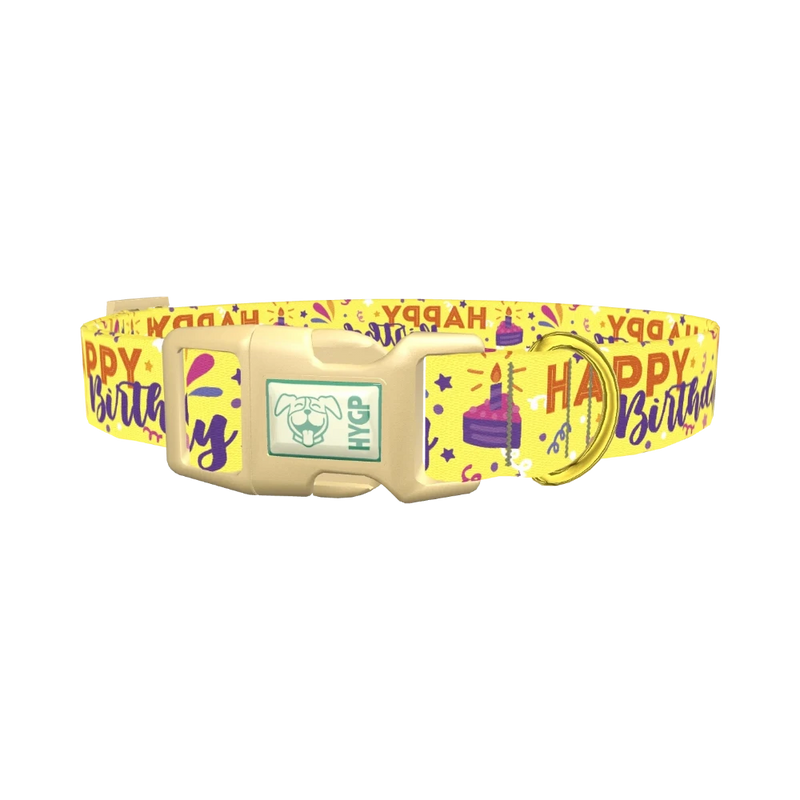 Birthday Cake Dog Collar - plastic gold