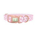 Ghost Halloween Dog Collar - plastic rose gold