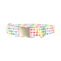 Rainbow Heart and Clover Dog Collar - metal silver