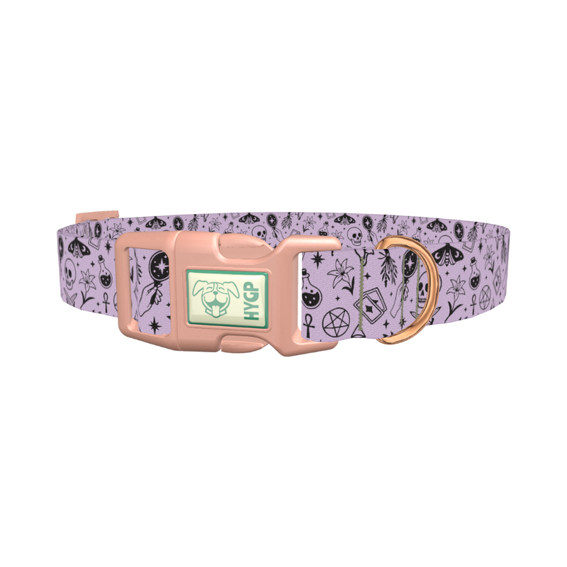 Halloween Witchy Mirror Dog Collar - plastic rose gold