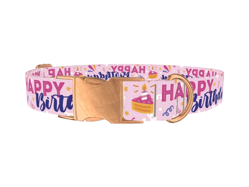 Birthday Cake Celebration Dog Collar