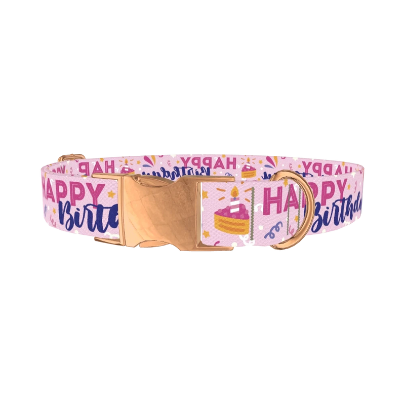 Birthday Cake Celebration Dog Collar - metal rose gold