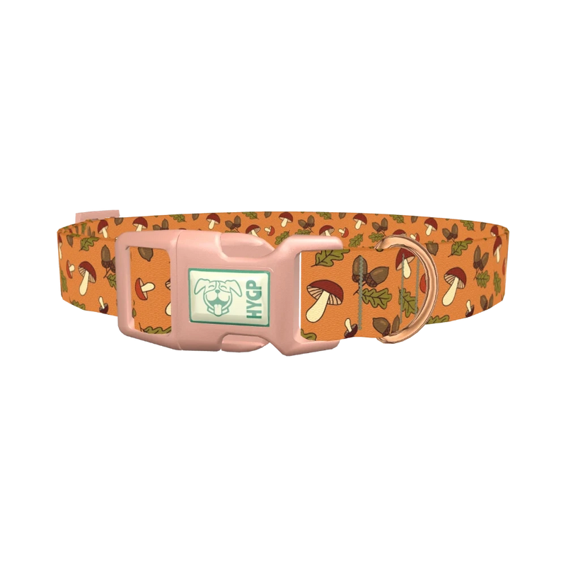 Fall Acorn Mushroom Dog Collar - plastic rose gold