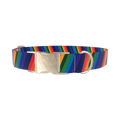 Geometric Rainbow Dog Collar - metal gold