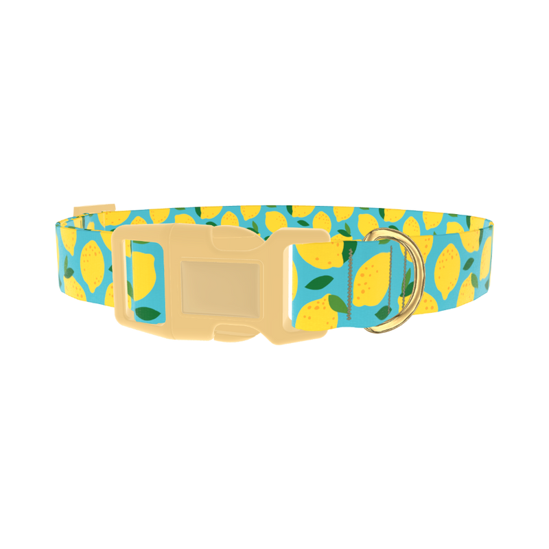 Blue Lemon Pattern Dog Collar - plastic gold