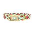 Tropical Hibiscus Dog Collar - plastic gold