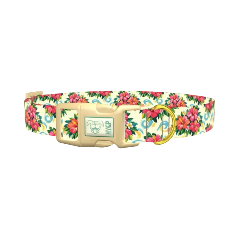 Tropical Hibiscus Dog Collar - plastic gold