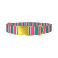 Pink and Green Stripe Dog Collar - metal gold