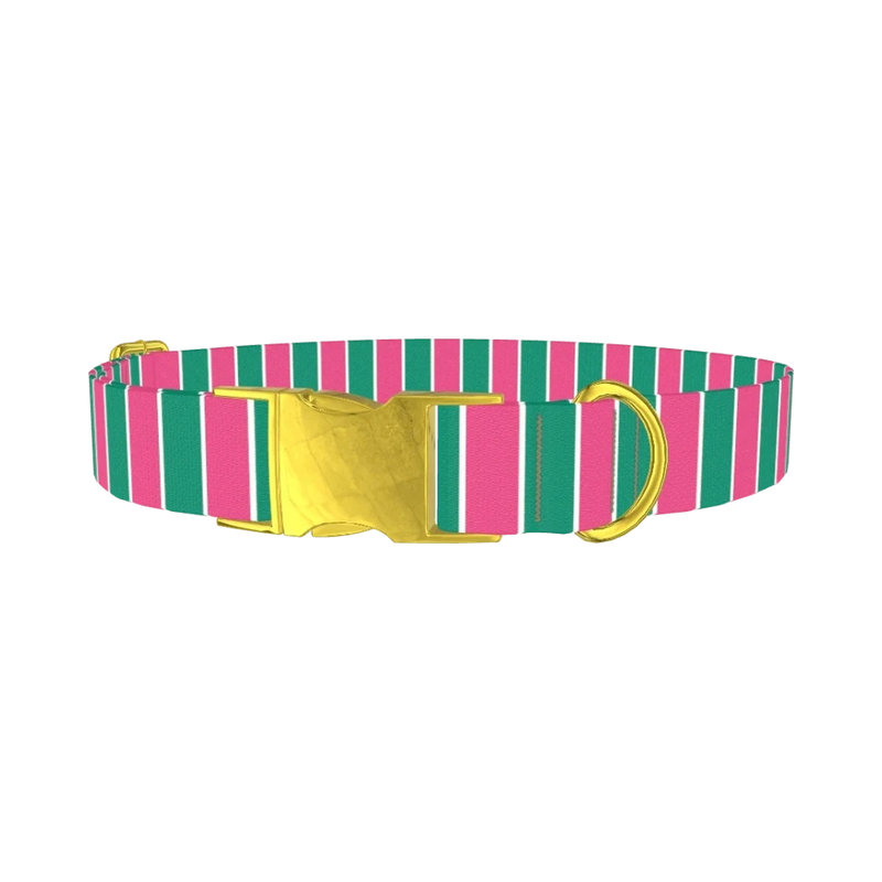 Pink and Green Stripe Dog Collar - metal gold