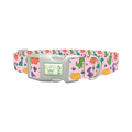 Dinosaur Mix Dog Collar - plastic silver