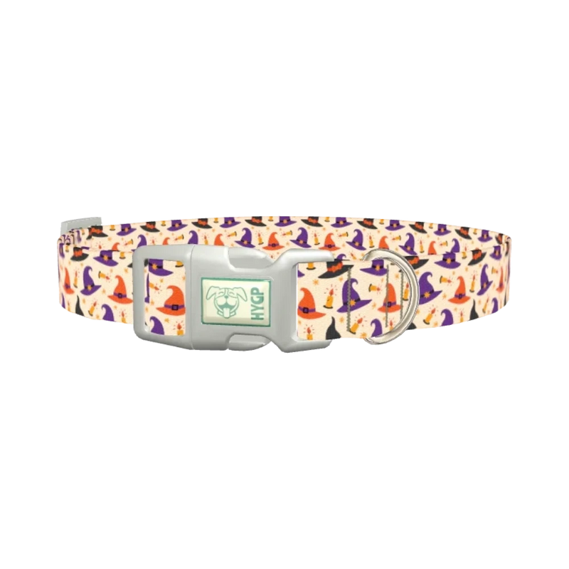 Halloween Witch Hat Dog Collar - plastic silver