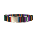 Bold Black Stripe Dog Collar - metal silver