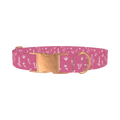Pink Southwestern Dog Collar - metal rose gold