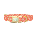 Heart and Daisy Dog Collar - plastic gold