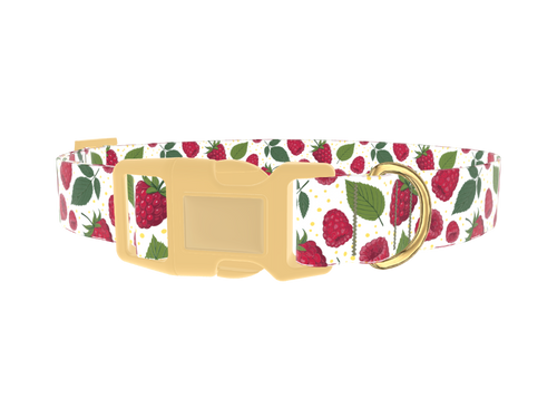 Raspberry Fruit Dog Collar