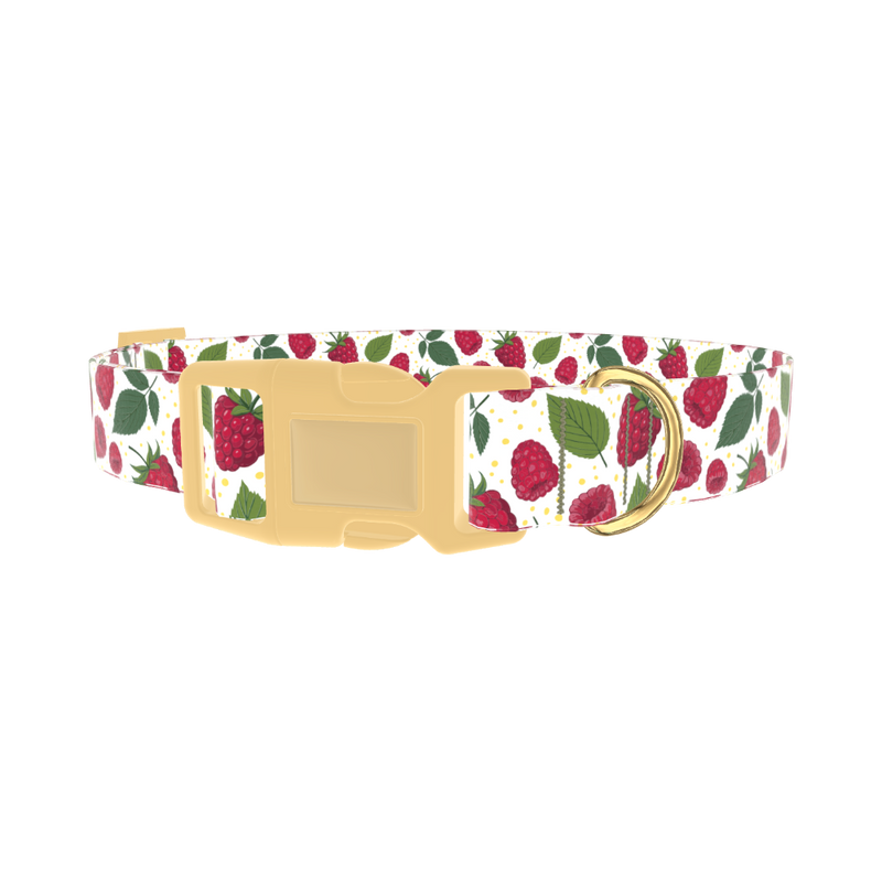 Raspberry Fruit Dog Collar - plastic gold