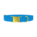 Atmosphere Color Dog Collar - metal gold