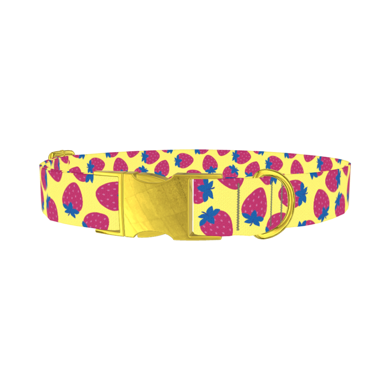 Strawberry Fruit Dog Collar - metal gold