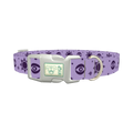 Mystical Star Dog Collar - plastic silver