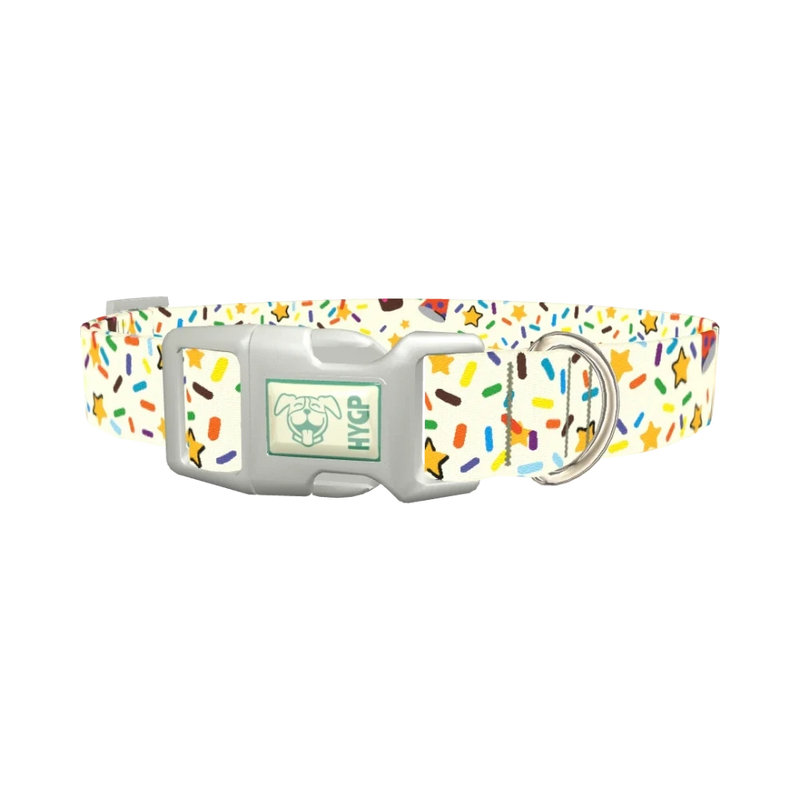 Birthday Boy Celebration Dog Collar - plastic silver