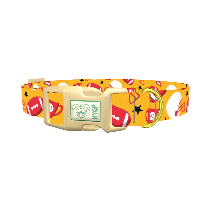 Football Trophy Dog Collar - plastic gold