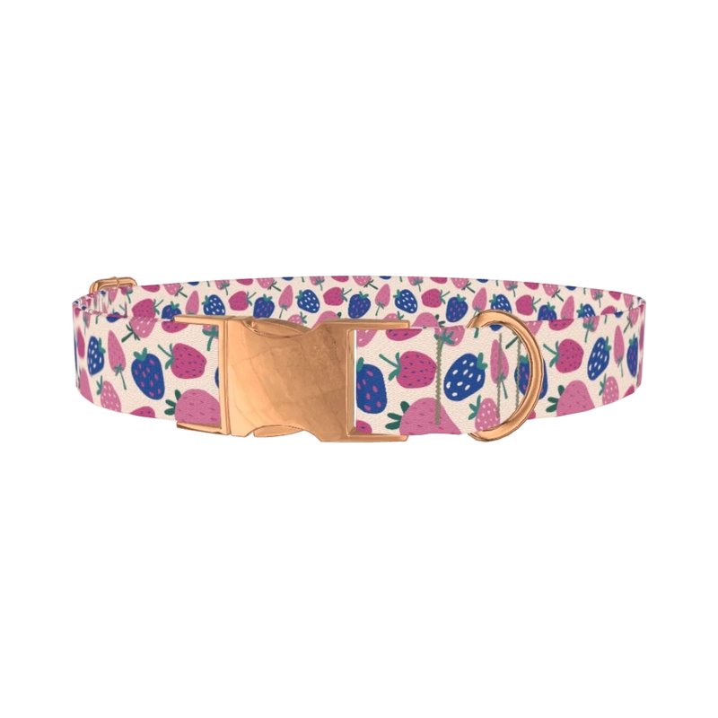 Fruit Strawberry Dog Collar - metal rose gold