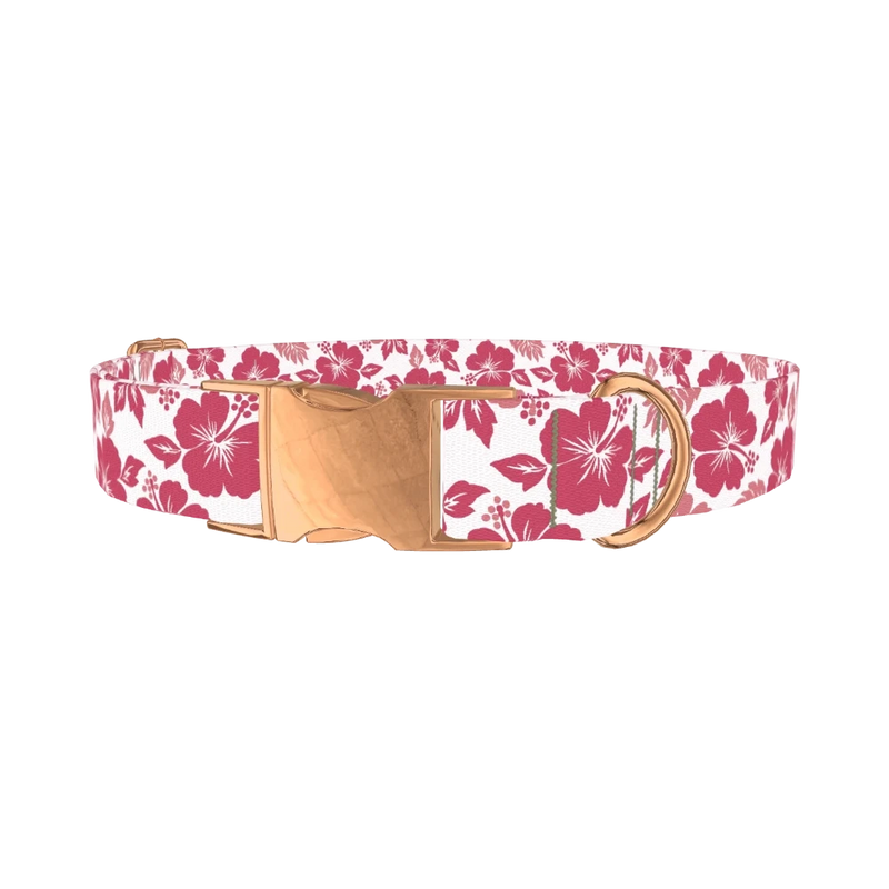 Hibiscus Blossom Dog Collar - metal rose gold