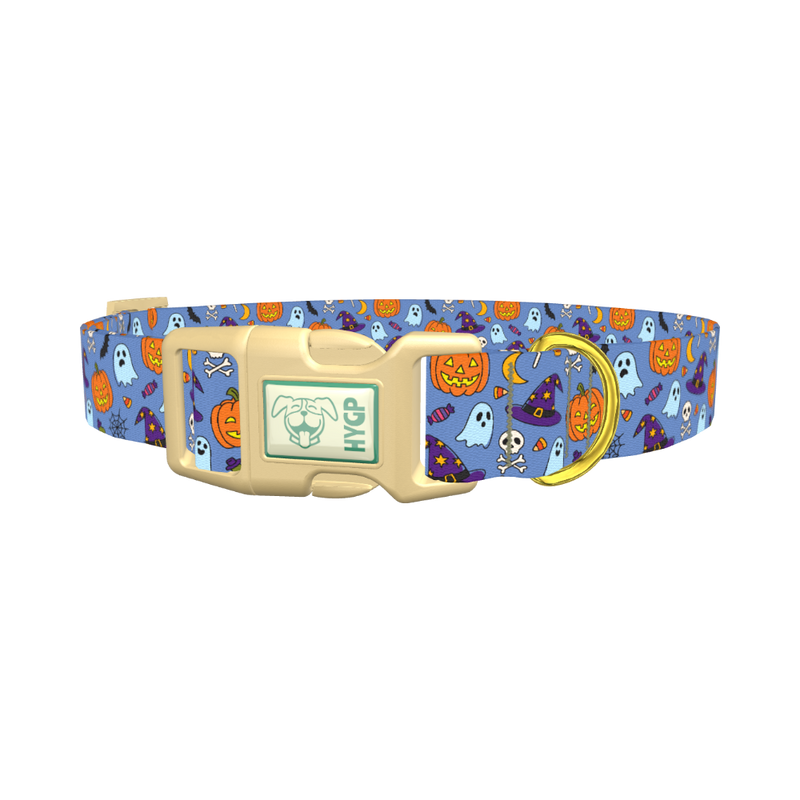Blue Halloween Witch Hat Dog Collar - plastic gold