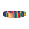 Bright Striped Dog Collar - metal rose gold