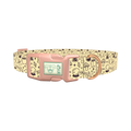 Witchy Halloween Dog Collar - plastic rose gold