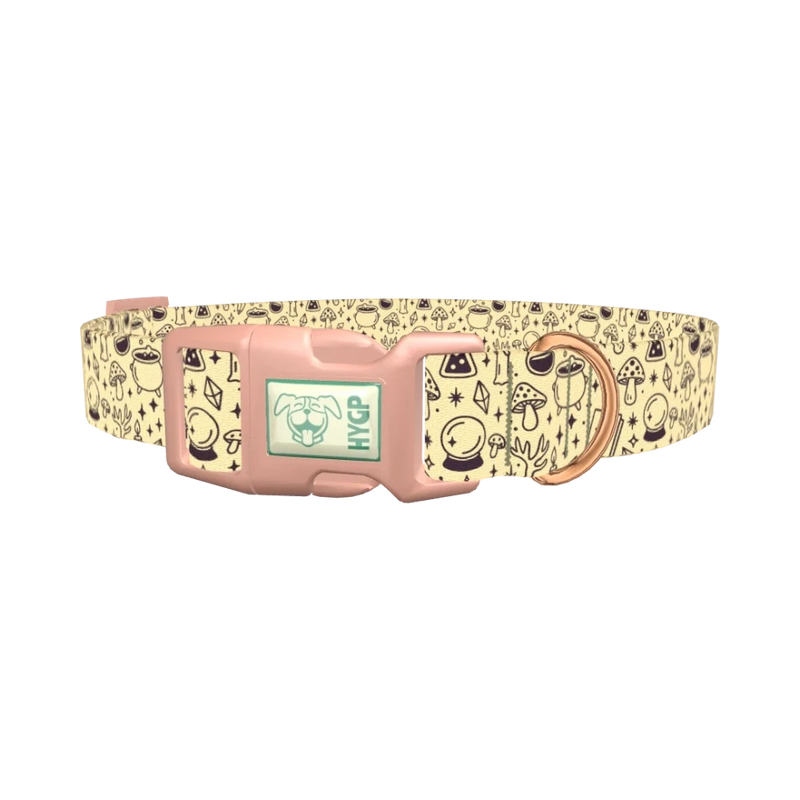 Witchy Halloween Dog Collar - plastic rose gold