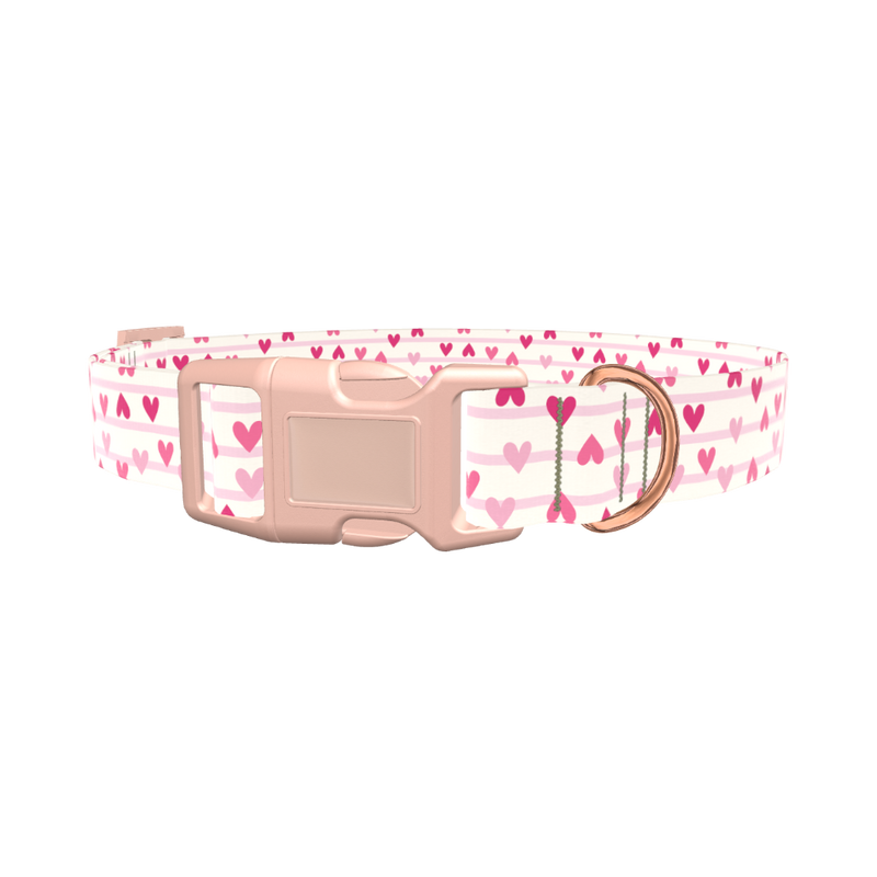 Striped Heart Dog Collar - plastic silver