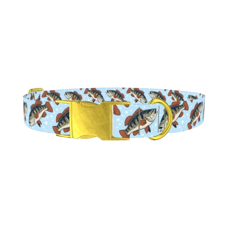 Bass Fish Dog Collar - metal gold