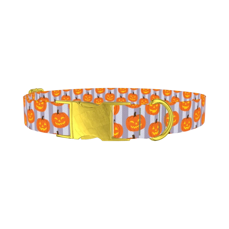 Halloween Pumpkin Stripe Dog Collar - metal gold