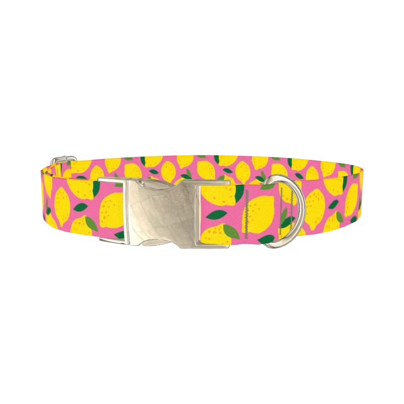 Pink Lemon Pattern Dog Collar - metal silver