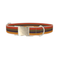 Autumn Stripes Dog Collar - metal silver