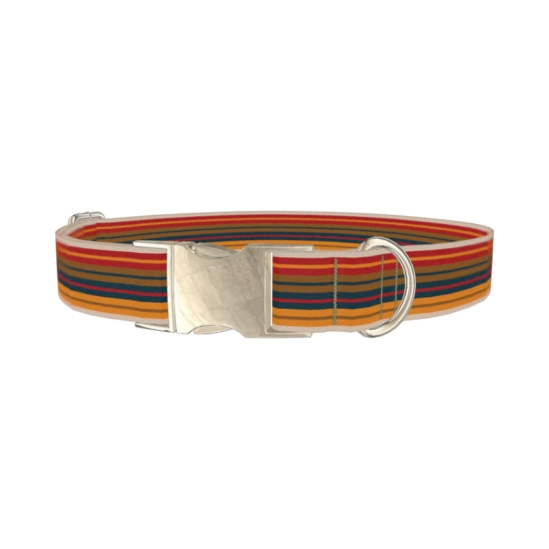 Autumn Stripes Dog Collar - metal silver