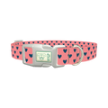Sapphire Heart Dog Collar - plastic silver